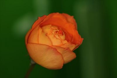 IMG_85232_R22.JPG