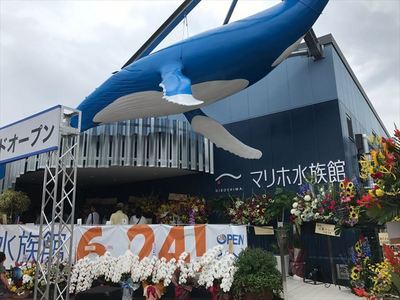 IMG_7guo4uj1_R23.JPG