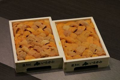 IMG_7293_R23.JPG