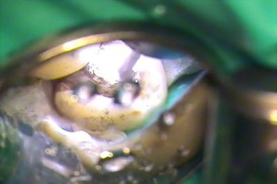 無題_0132.wmv_000798650_R23.jpg