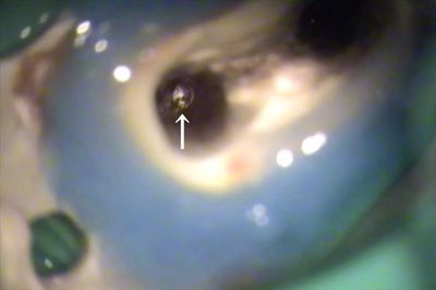 無題_0194.wmv_001154479_R23.jpg