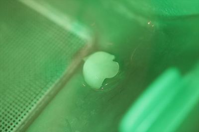 IMG_4149_R25.JPG