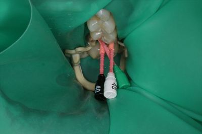 IMG_0853_R25.JPG