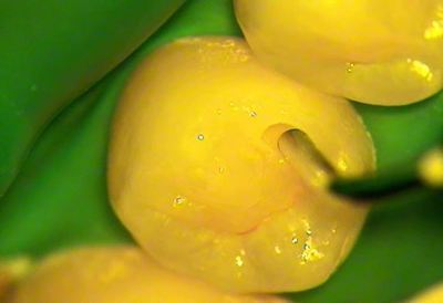 無題_0171.wmv_000918501_R25.jpg