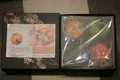 IMG_3294_R25.JPG