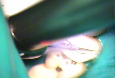 無題_0184.wmv_000741106_R25.jpg