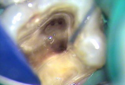 無題_0204.wmv_003218310_R25.jpg