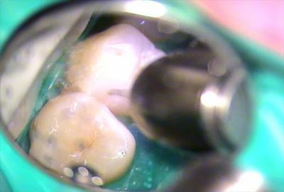 無題_0267.wmv_000077193_R25.jpg