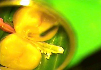 無題_0267.wmv_003891149_R25.jpg