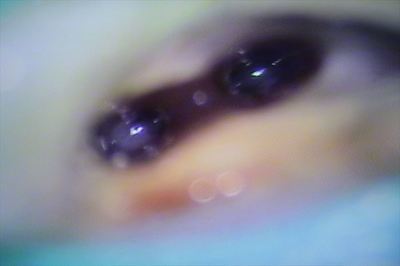 IMG_6736_R25.JPG