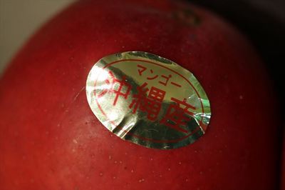 IMG_0377_R26.JPG