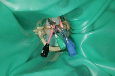 IMG_3501_R26.JPG