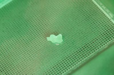 IMG_7014_R26.JPG